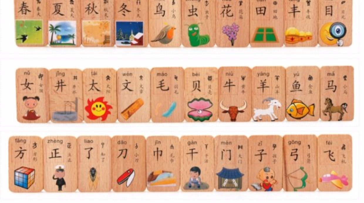 100 mảnh hình chữ nhật hai mặt chữ Hán domino nhận thức xây dựng khối giáo dục trẻ em 1-2-3-4-5-6 tuổi xe đẩy siêu thị cho bé