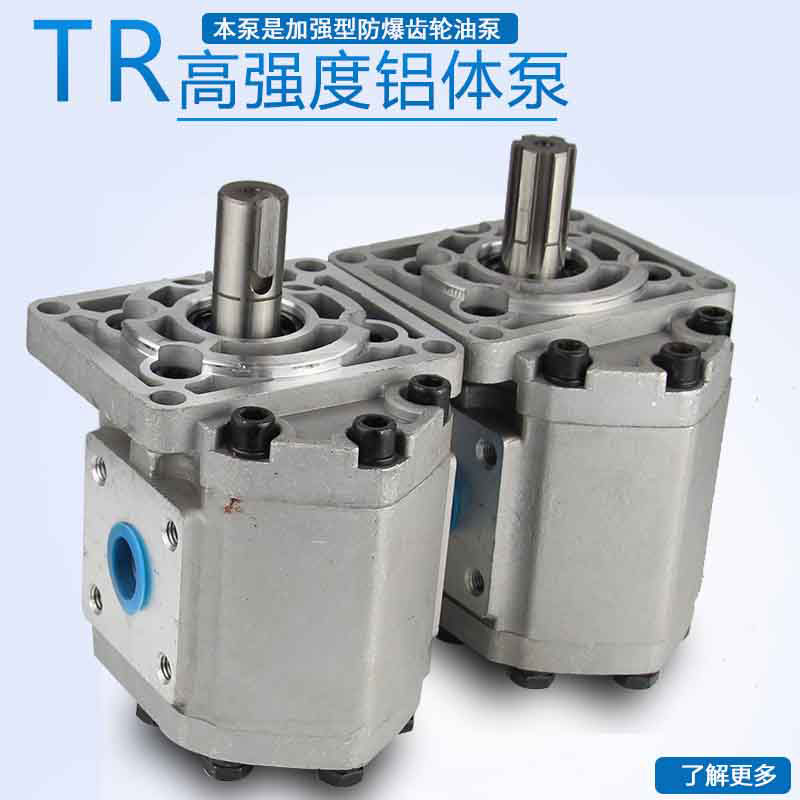 CBT-F532 550 563 580 Gear Oil Pump Hydraulic Gear Pump Forklift Dump Truck Agricultural Machinery Cylinder Pump