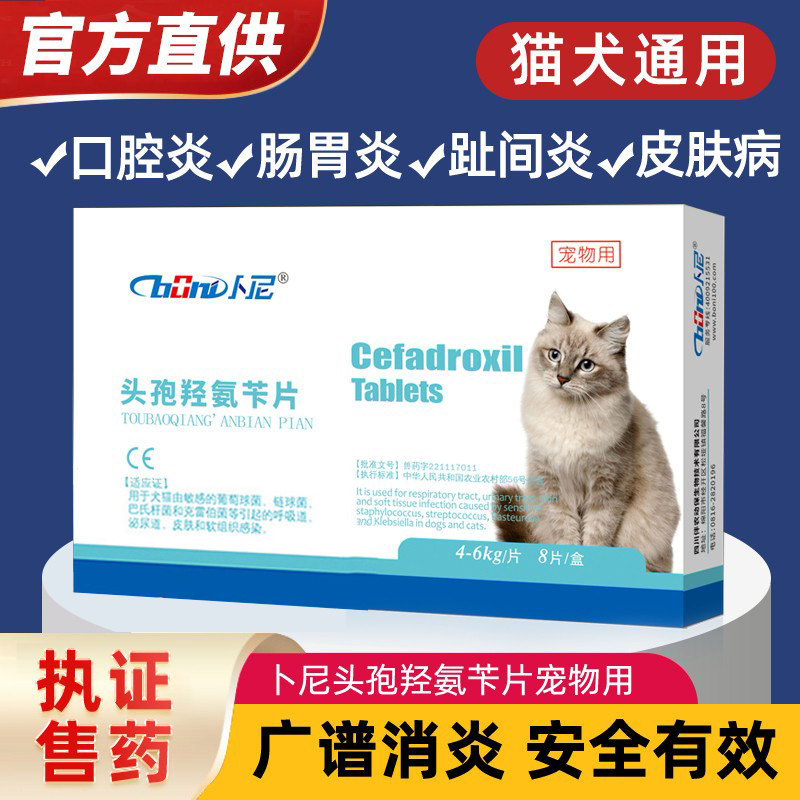Benny cefamethroambenzia Inflammatory Drug Cat dermatosis Dermatitis Pussy Pussy Urinary Tract Infection