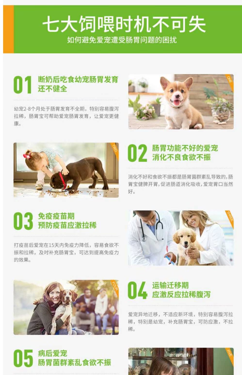 Thú cưng nhỏ tiêu hóa men tiêu hóa men vi sinh 10 bao bì điều hòa viêm dạ dày ruột tiêu chảy tiêu chảy sản phẩm vật nuôi mèo sữa cho chó biếng ăn