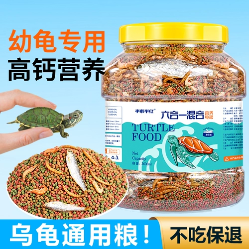 Черепаха кормить черепахой едой еда общая пища трава черепаха специальная сушена