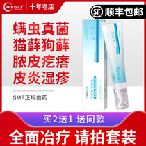 Pet cat dog skin disease topical medicine fungus mite ointment cat fungus mite eczema Cat Moss dog ringworm medicine