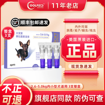 Big pamper for small dogs with in vitro and in vivo anthelmintics teddy dog for flea lice pet insecticidal drops 30mg