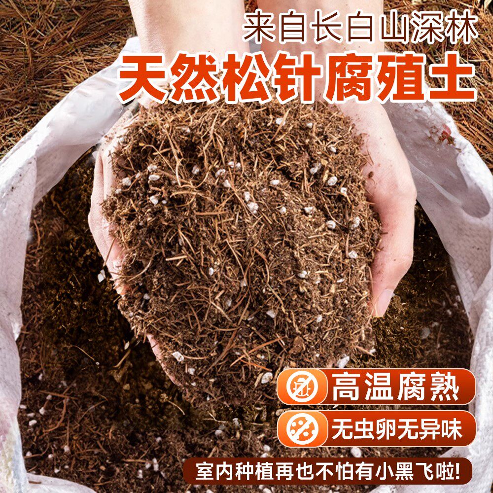 松针粉:自然界的健康宝藏-健康-淘宝百科网