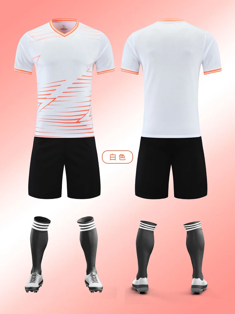 5028-2.webp