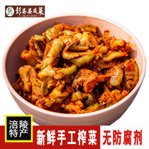 Chongqing Fresh and spicy squeezed vegetables Peng mother-in-laws handmade pickled vegetable farm large head vegetable pickles vacuum bagged Fuling pickled vegetables