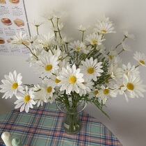 Boring Bazaar Korean wind ins simulation daisy fake flower posing props home decoration ornaments coffee shop homestay