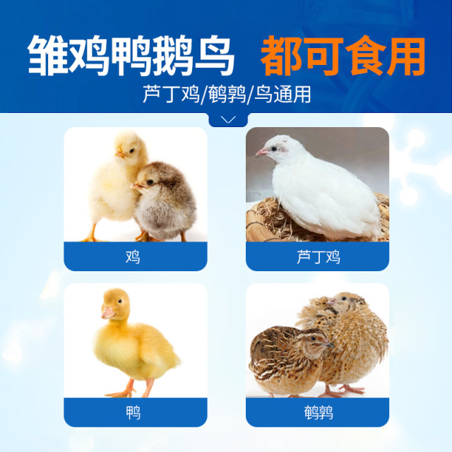 Zhonglong Shenli chick feed chicks rutin ໄກ່ອາຫານນົກອາຫານນົກອາຫານ parrot quail ໄກ່ເປັດ goose ເປີດອາຫານ