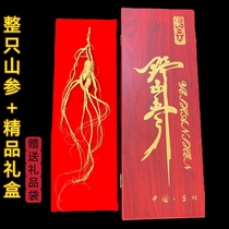 Authentic Changbai Mountain 28-year-old understory dried ginseng as a gift wild ginseng and ginseng high-end gift box SF