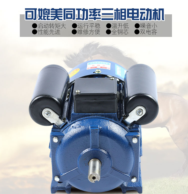 Single phase motor 0 55 0 75 1 1 2 2 3 5 5 5 kw220v 960 rode 6 motor