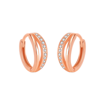 Earrings for women 2023 new hot style autumn and winter high-end sterling silver niche unique temperament high-end earrings gift 2521