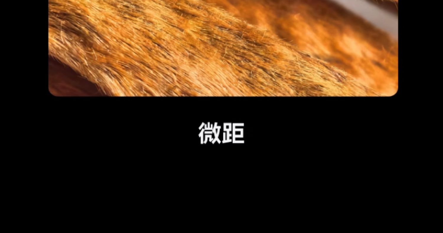 【新品】HUAWEI华为Mate X7 华为麒麟9030Pro芯片 超可靠折叠玄武架构华为折叠屏手机插图31