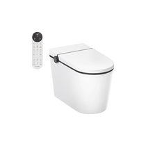 137 Hansgrohe Smart Toilet ElementS Smart All-in-One Toilet Fully Automatic Toilet