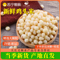 Extra large grain chicken head rice fresh 2023 Suzhou Gorgon rice 200g fresh Gorgon rice non-hand peeled Suzhou Gorgon rice 3409