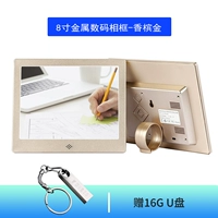 8-дюймовый-кампаньовый золото-подсвет