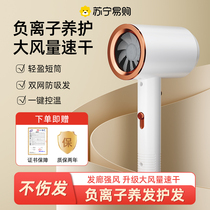 Official Selection) Hair Dryer Home Hair Care High Power Dormitory Student High Wind Hair Dryer Dormitory 176