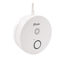 Kidde Ketto Gulf smart gas alarm WiFi gas gas combustible gas detector 220