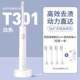 T301 White + 4 Custom Brush Heads + настенное крепление *1