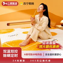 Washable 2024 new electric blanket graphene single student dormitory electric mattress home double double control 2966