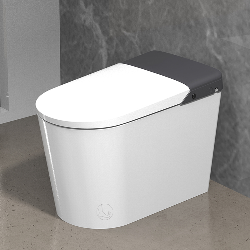 Rellit Honourable Grey Smart Toilet Integrated A6plus fully automatic clamshell i.e. hot electric toilet 2899-Taobao