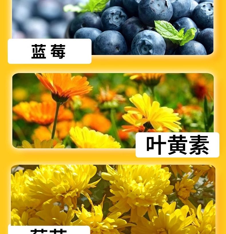 南京同仁堂 美國 藍莓葉黃素滴眼液 緩解眼疲勞珍視明葉黃素滴眼液 13ml