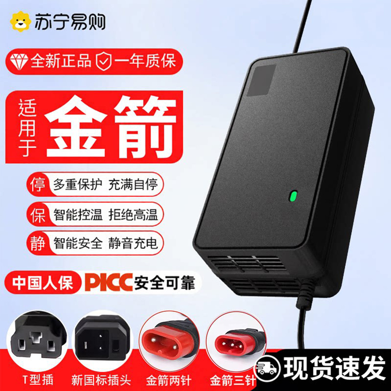 Suitable for Golden Arrow Electric Vehicle Charger 48V12Ah60V20Ah72V Two-Pin Three-Pin Universal Battery Car Charger 4222