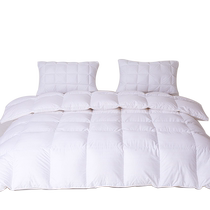 Quilt duvet quilted by 95 white goose down by spring autumn quilt core thickened warm antibacterial duck suede by white suede blowing snow 1816