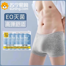 Disposable underwear mens boxer sterile travel portable breathable shorts daily disposable cotton travel 1557W