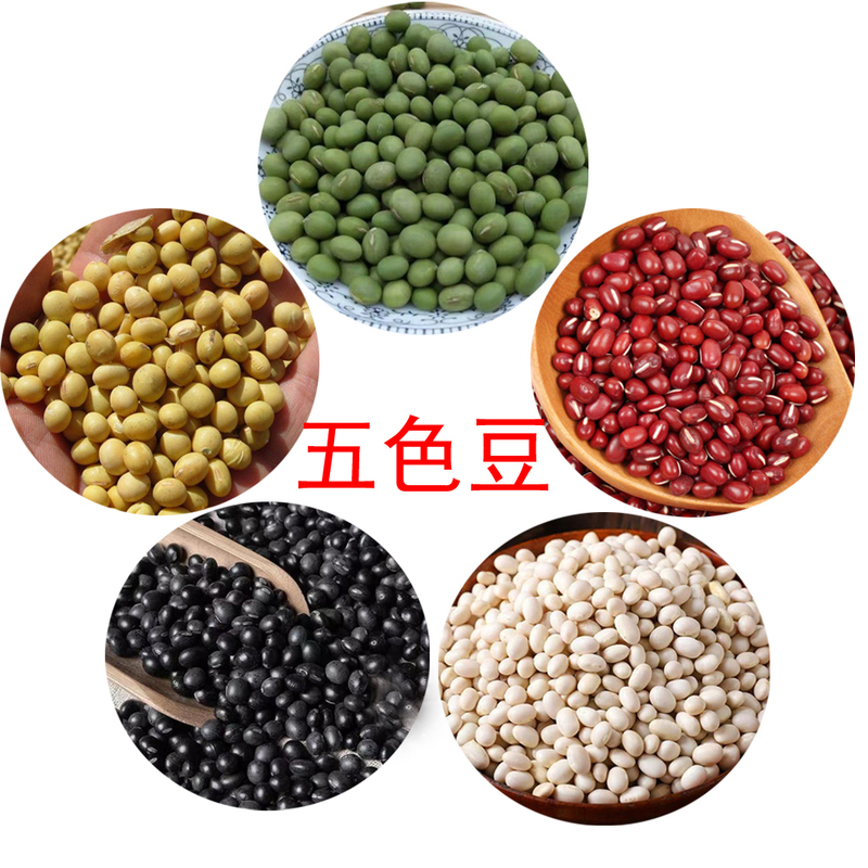 Mixed Colorful Beans: Red Beans, Yellow Beans, Green Beans, Mung Beans, White Beans, Black Beans, Colorful Beans Set