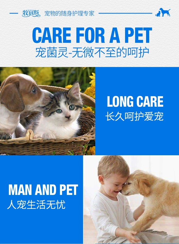 Mubei pet nấm phun 100ml chó mèo mite nấm da chó bệnh viêm da viêm da chàm - Cat / Dog Medical Supplies