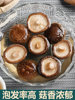 Qingyuan Farmhouse Dried Shiitake Mushrooms Commercial Grade Small Shiitake Non-Special Grade Mushrooms Winter Mushrooms Flower Mushrooms 2 Pieces 500g
