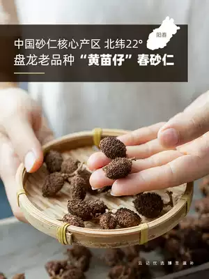 Yunji Fire roasted spring Amomum 100g Yangchun Panlong Spike Yellow Miao Sha Ren dried fruit Yangjiang specialty Chinese medicinal materials