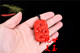 Hotan Jade Golden Silk Jade Xinjiang Red Jade Dragon Brand Pendant for Men and Women Chicken Bloodstone Jade Zodiac Dragon Jade Brand Pendant