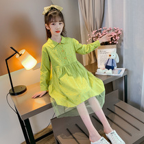 Girls foreign autumn dress 2020 Chinese version of the flower net gauze shirt skirt autumn dress with the bottom skirt