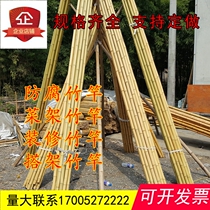 Bamboo pole decoration thick bamboo pole bamboo pole Bamboo Bamboo insect-proof rot vegetable garden set up fence fence colorful flag white bamboo pole dance