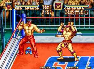 3 Count Bout / Fire Suplex