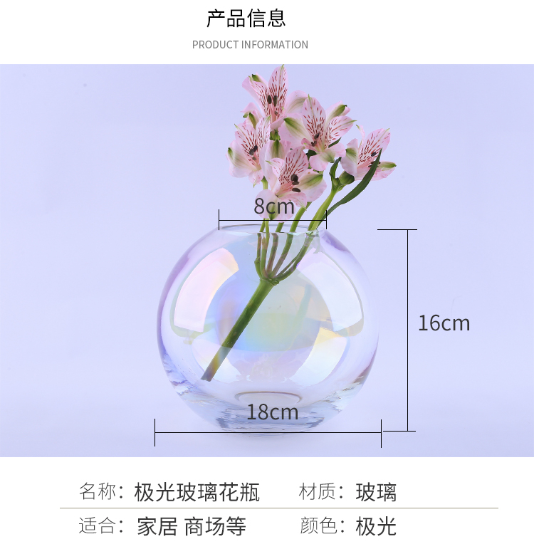 Cực quang màu sắc đầy sao khô hoa Bắc Âu in hoa cắm hoa thủy canh bình thủy tinh nghệ thuật nhỏ tươi - Vase / Bồn hoa & Kệ bình thủy tinh trồng cây