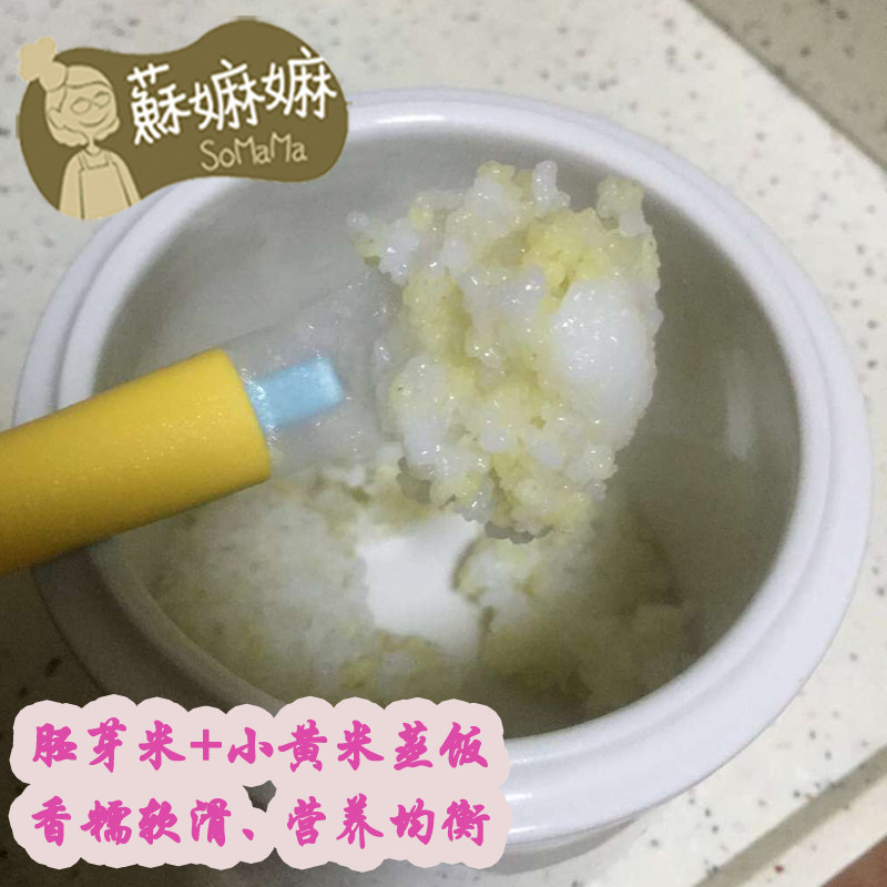 baby germ rice