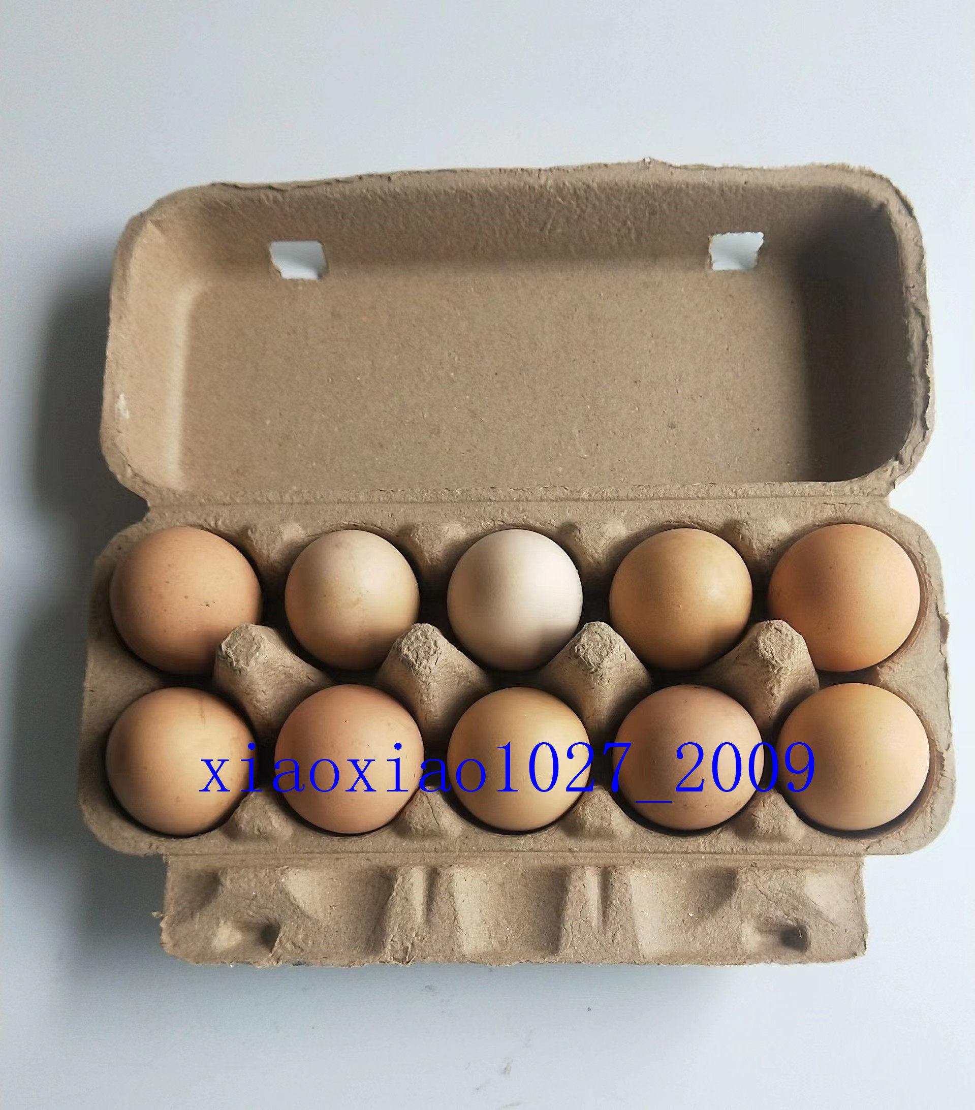 10 Egg Box Yellow Pulp Box with Egg Box Pattern Box 10 Soil Duck Egg Box