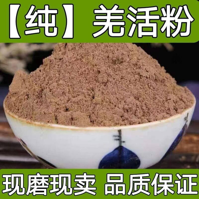 [100% Authentic] Qianghuo Powder 500g Wild Qianghuo Chinese Herbal Medicine Chuanxiong Powder Bamboo Qiang Powder