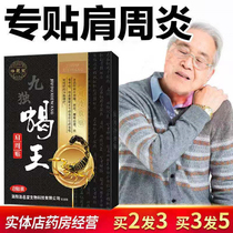 Shoulder pain cold stiffness strain inability to lift your arms difficulty scorpion poison pain relief paste artifact