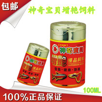 Taiwan pokémon ornamental fish lamp family small fish Pauline lamp Yimei Taoist feed fish food ultra-fine particles