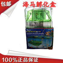 Hippocampus PENN-PLAX-sized fish separate incubator box breeding box automatic screening