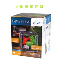 Small fish tank bucket fish bowl mini fish bowl home accessories fish tank acrylic plexiglass gift fish tank