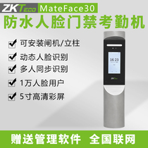 ZKTECO entropy-based technology MateFace30 dynamic face waterproof access control attendance all-in-one gate control version