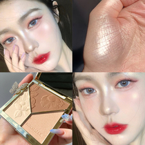 Highlight repair plate nose shadow face bright pink shadow profile three-in-one plate official flagship store