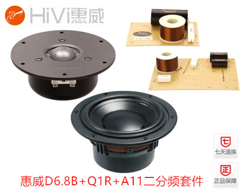 Hivi D6 8B Q1R two-way kit 6 5 inch DIY bookshelf hifi speaker audio assembly kit