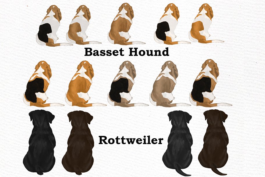 可爱的宠物狗种类大全水彩剪贴画合集设计素材模板