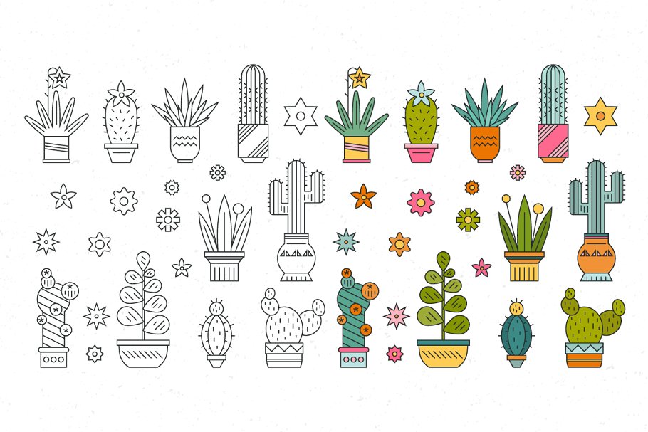 仙人掌图案插画 Succulent Clipart & Patterns Bundle设计素材模板