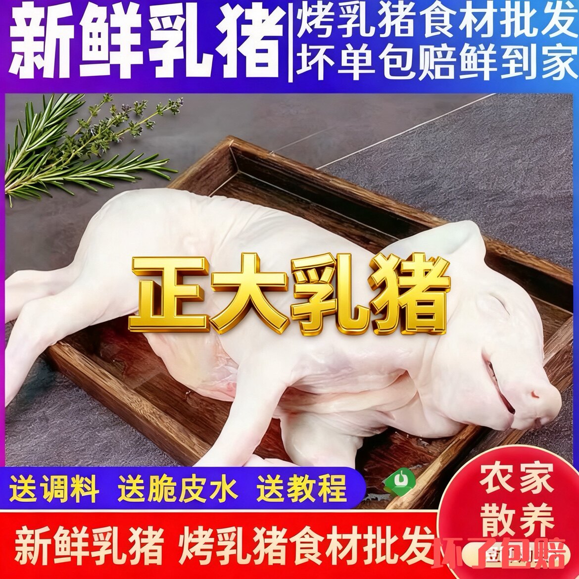 正大大小乳猪